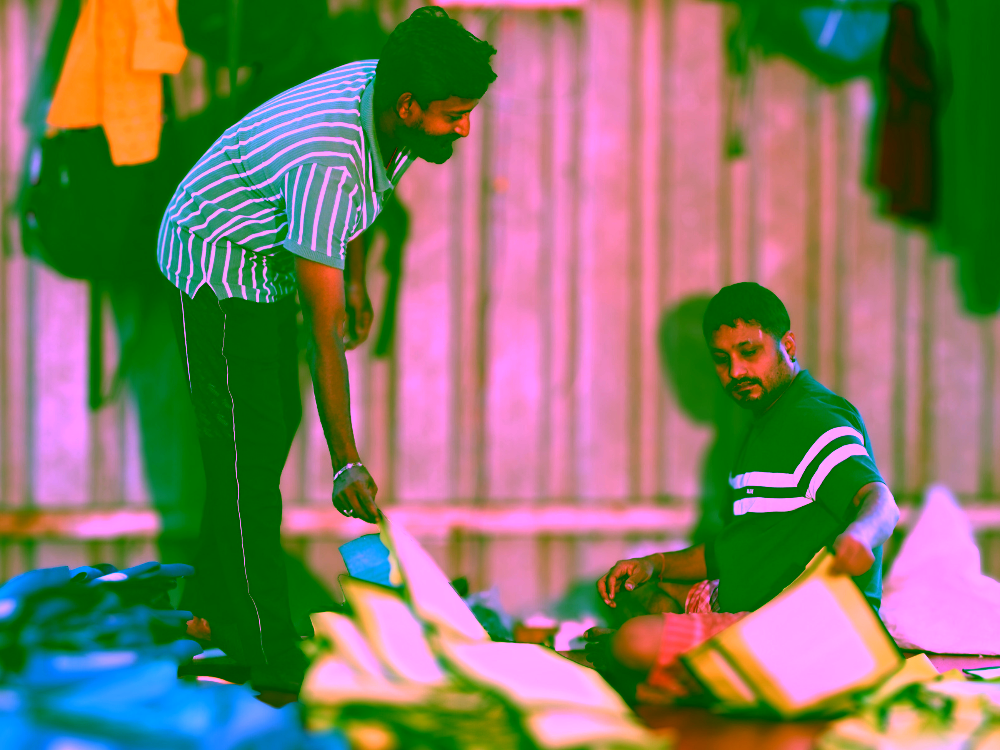 Voice assistant interface